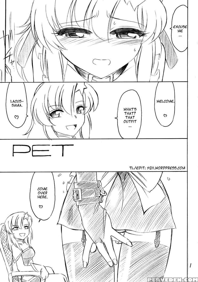 Prisoner 9 Pet Chapter 1000 Page 2